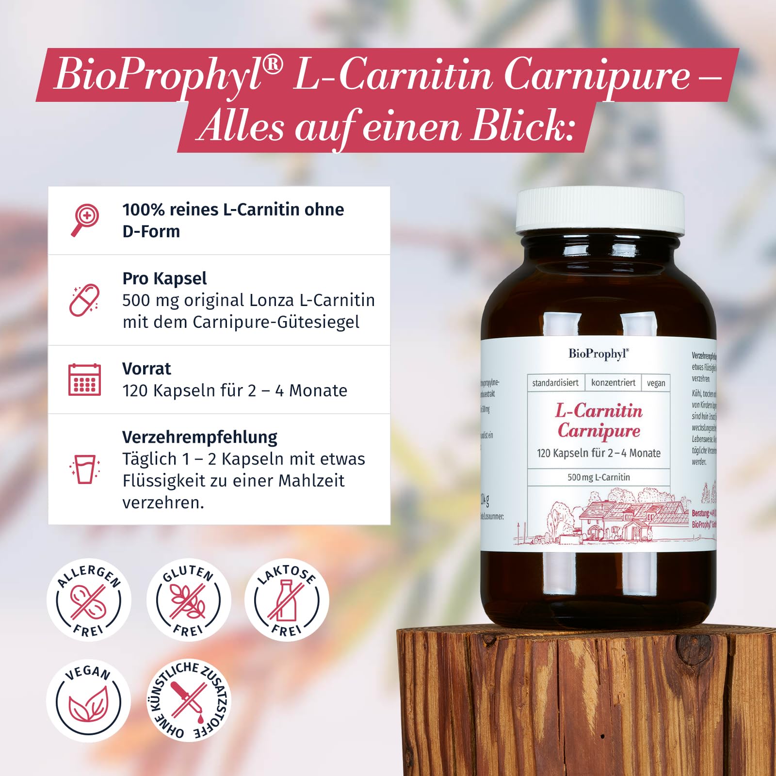 L-Carnipure Carnitin mit Lonza Gütesiegel - 100% reines L-Carnitin - 120 Kapseln