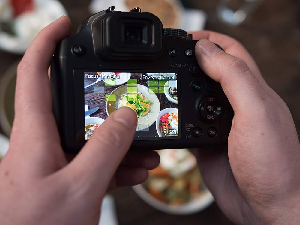 Panasonic LUMIX DC-FZ82EB-K Digital Bridge Camera with Ultra