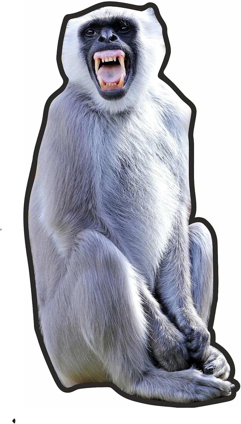 Self-Adhesive Wallkriti Langoor Cutout Monkey Wall Sticker, Scare Monkeys, Stand Up Vinyl Decal for Living Room, Bedroom, Nursery, Office, 65 x 45 x 0.5 Centimeters