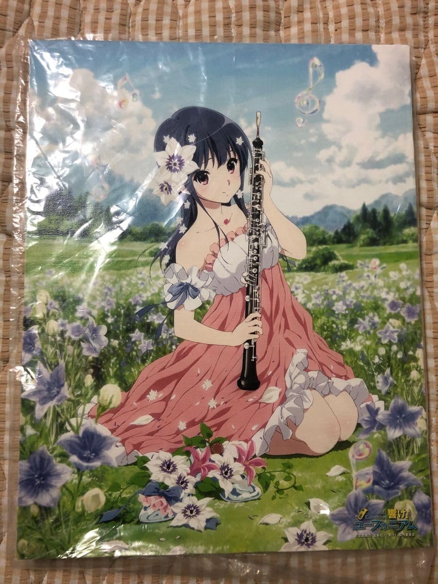 響け！ユーフォニアム Birthday Concert キャンバスアート みぞれ 響け