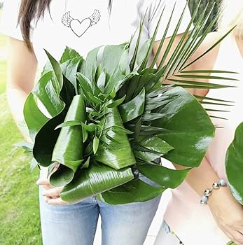 ティーリーフ 葉っぱ 200枚セット ティーリーフ切り葉 100枚 / 150枚 / 200枚 - MELE OHANA ONLINE