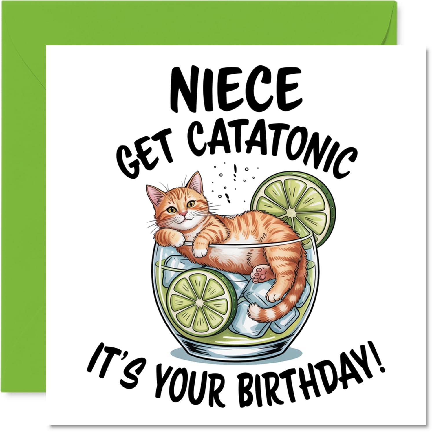 Niece Birthday Card - Catatonic - Happy Birthday Card for Niece from Auntie Uncle, 145mm Cute Animal Design Bday Greeting Cards