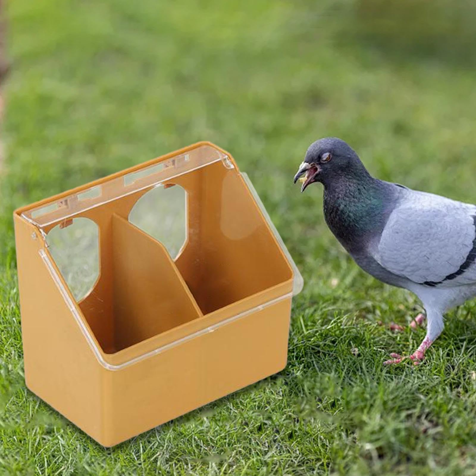 Amazon | Qianly 鳩の鳥の餌を与える鳩の巣箱用鳩の餌箱鳩ペアリング