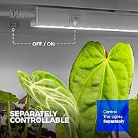 Vista 5 de Barrina Luces de Crecimiento T5, Luz de Crecimiento LED de Espectro Completo Blanca de 5000K, 80W de 2 pies (8 x 10W) Luces de Crecimiento