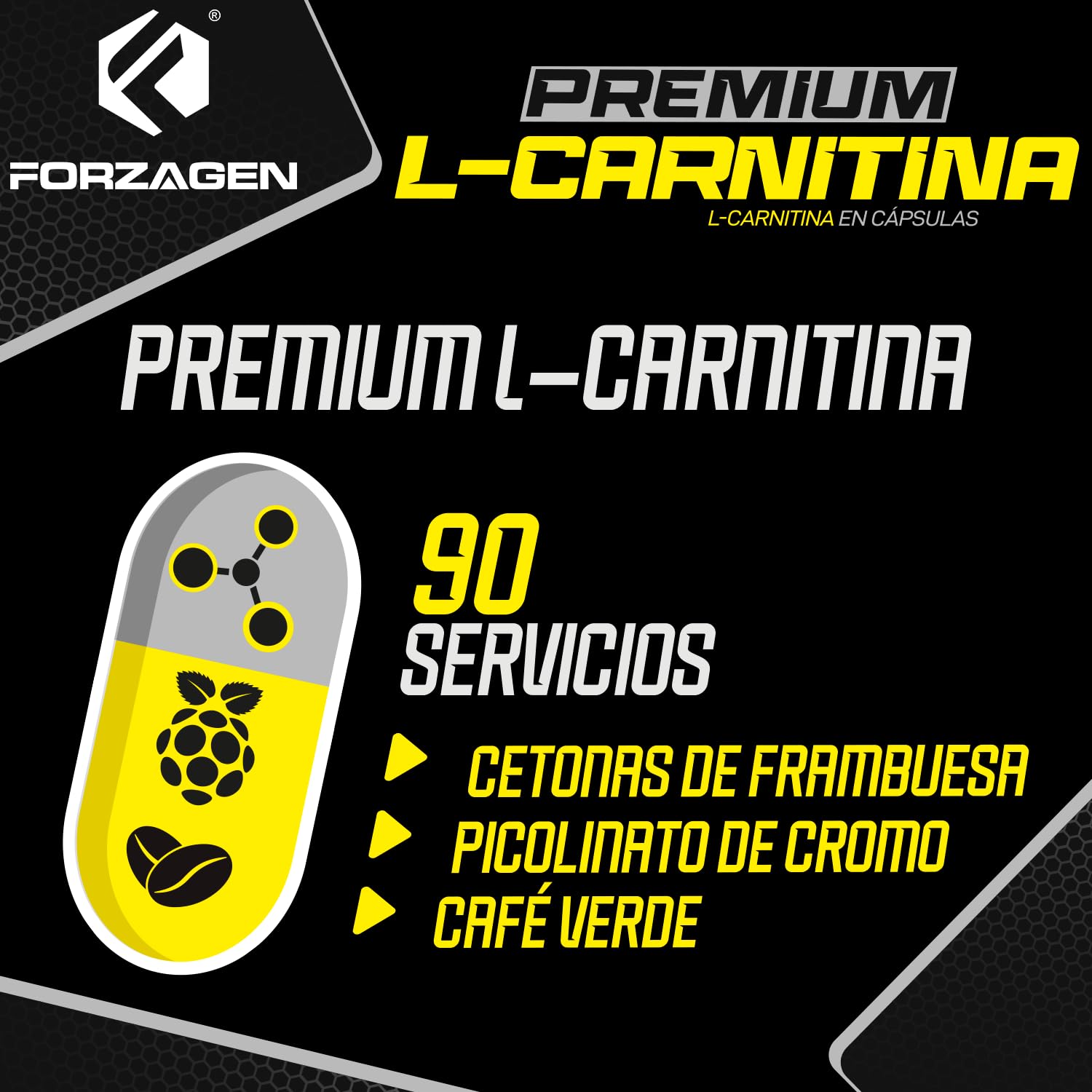 Forzagen L-Carnitina Premium, 90 Cápsulas, Suplemento Termogénico con  Cetonas de Frambuesa y Café Verde : Amazon.com.mx: Salud y Cuidado Personal