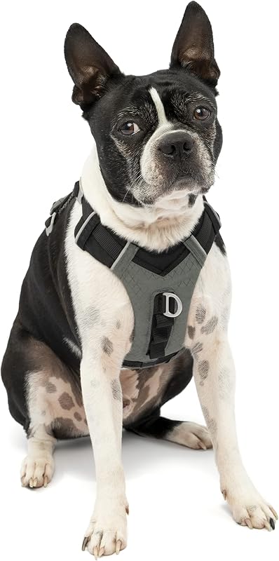 Kurgo Journey Air Dog Harness, Black, Extra Small
