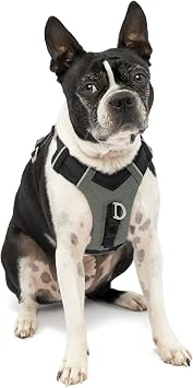 Kurgo Journey Air Dog Harness, Black, Extra Small | Padded Chest, Ripstop Outer & Breathable Mesh, Back Assist Handle, Rust-Free Aluminum Hardware, Reflective Trim