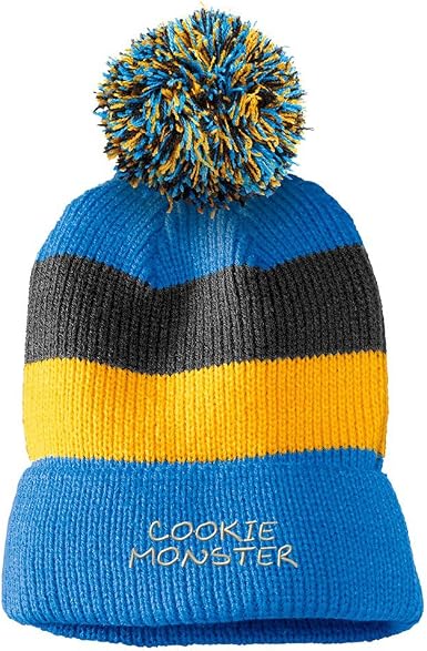 Pom Beanie Winter Hat 