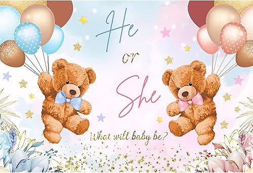dnldliq 8x6ft Gender Reveal Backdrop He or She Sign Banner Blue and Pink Bear Ba
