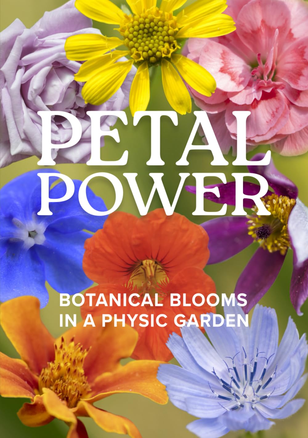 Petal Power: Botanical Blooms in a Physic Garden
