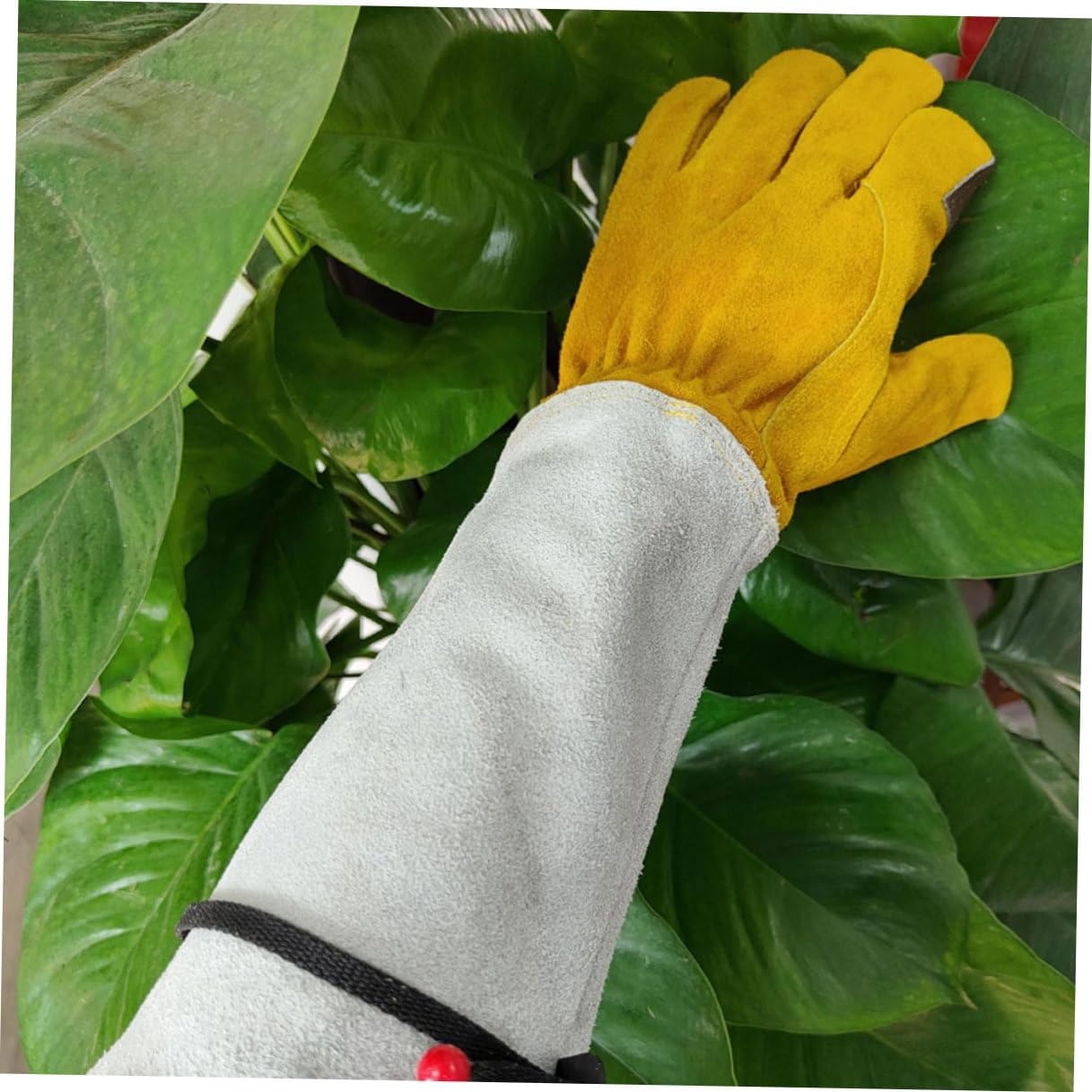 GLEAVI Puncture Proof Leather Gardening Gloves for Men and Women, Extended Length 11.5cm Thorn Resistant Planting and Pruning Gloves, Sturdy Wear-resistant Labour Protection Gear