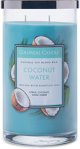 Vista 225 de Colonial Candle Vela perfumada en frasco, cilindros clásicos, brillo navideño, 2 mechas, 19 onzas, morado