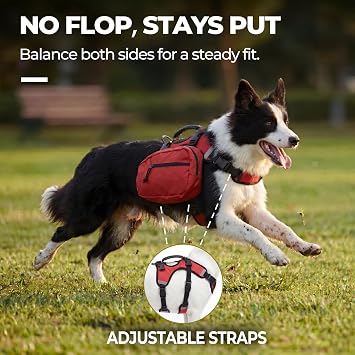 2-in-1 Detachable Dog Backpack Harness for Day Hiking (Medium)