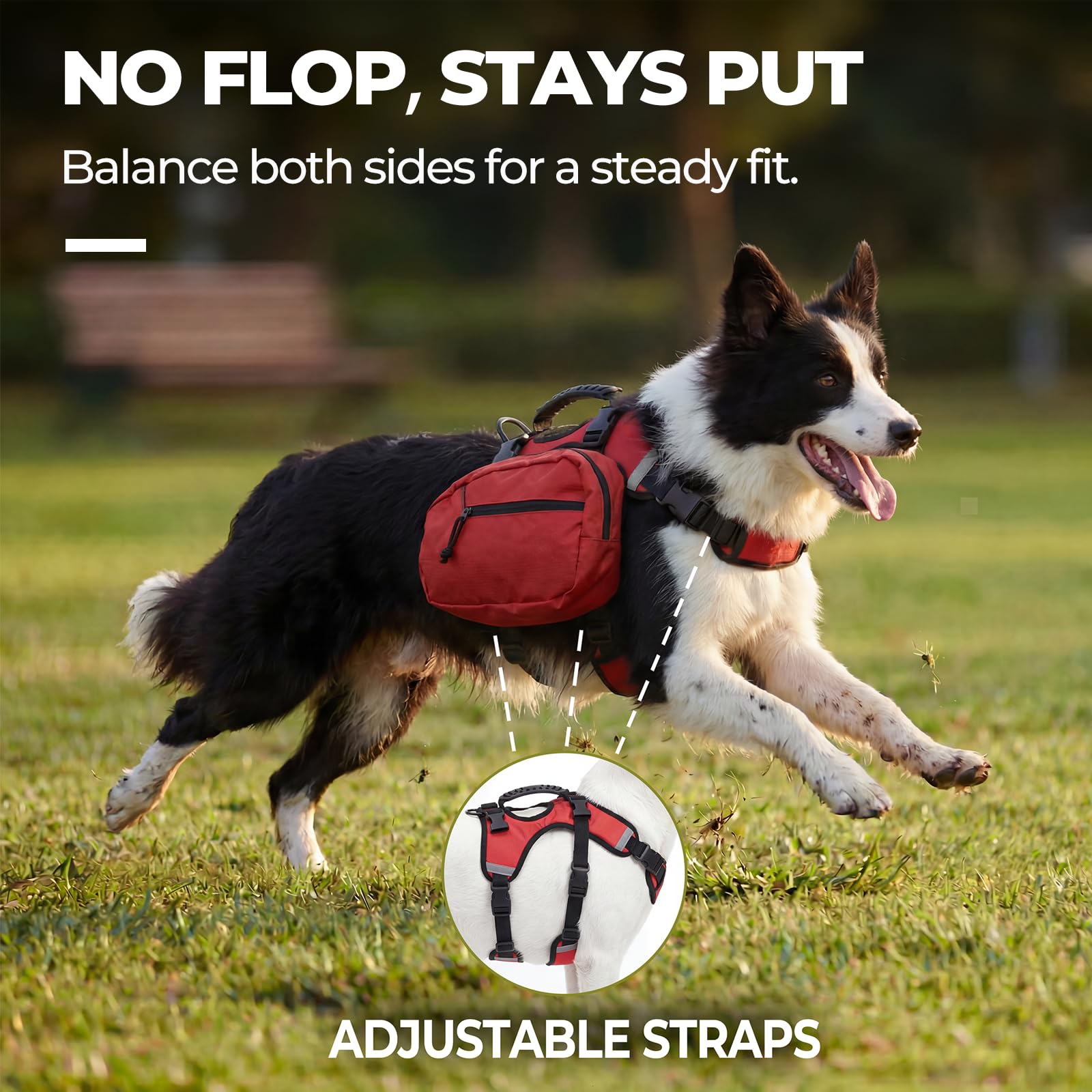 Mochila para perros para senderismo de día, ligera 2 en 1 desmontable con chaleco de arnés transpirable, mochila para perros medianos y grandes para llevar artículos esenciales (mediano)