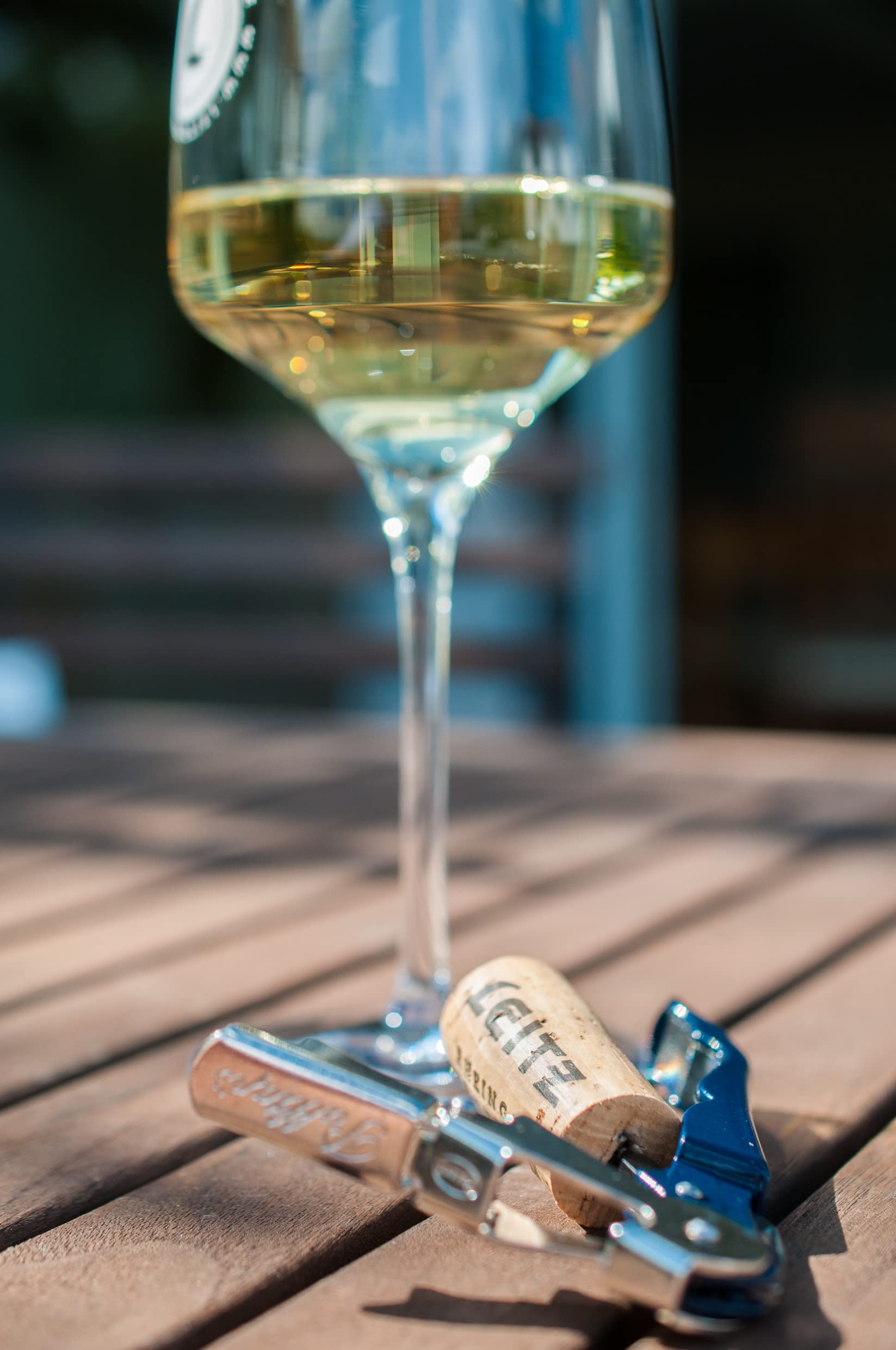 Leitz Weingut Riesling trocken VDP.Gutswein (1 x 0,75l) – Aromatischer Weißwein vom Weingut im Rheingau (Packung mit 6)
