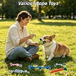 BANIC Jouets de chien pour la Dentition de chiot, 20Pcs Jouets à croquer pour chien avec panier, peluche et squeaky Jouets, Disque volant, Jouets de corde, Cloche d'entraînement, Brosse à dents, Boules de traite pour chiots Petits chiens moyens