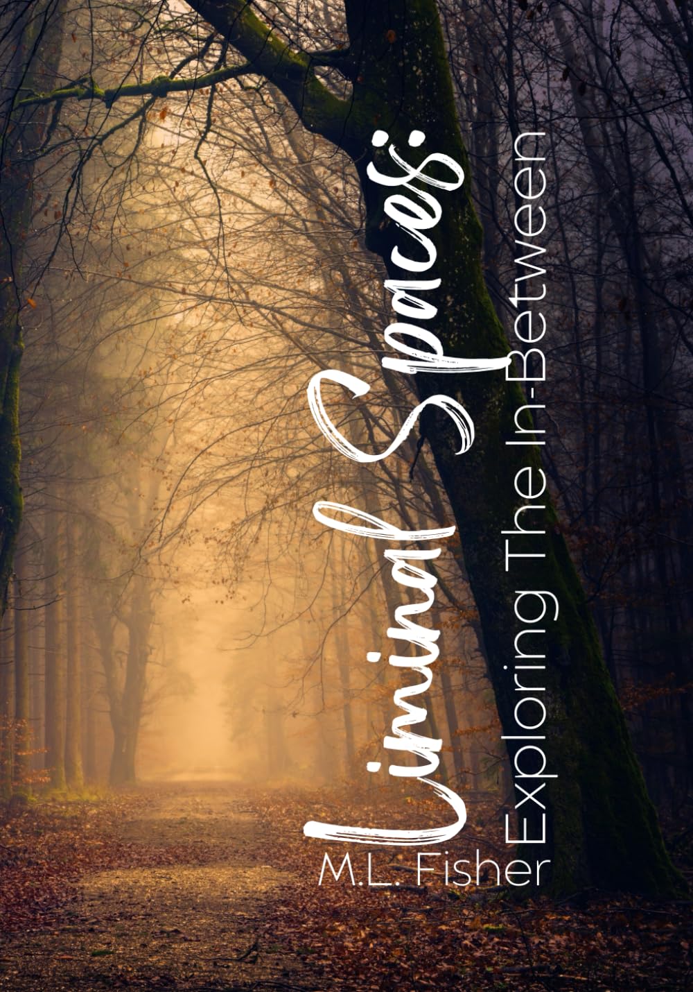 Liminal Spaces: Exploring the In-Between