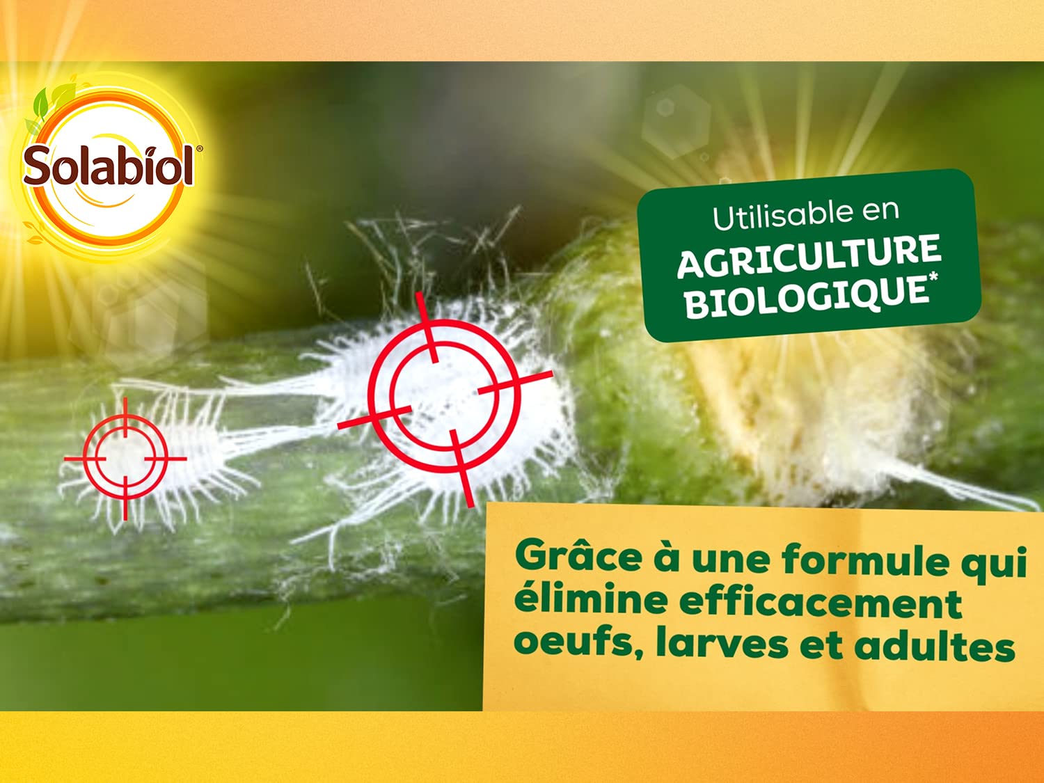 SOLABIOL Anti Cochenilles - 500ml - 25L De Solution - Élimine Oeufs Larves & Adultes - Effets Rapides En 24/48H - Utilisable En Agriculture Biologique SOCOC500
