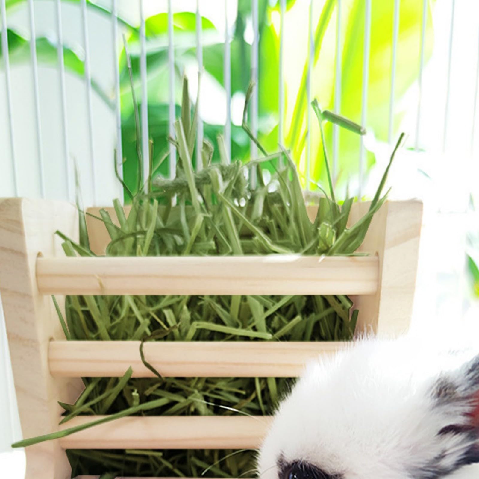 2in1 Contenitore per alimenti di grande capacità per piccoli animali domestici tenere da mangiare conigli fieno mangiatoia dispenser in legno