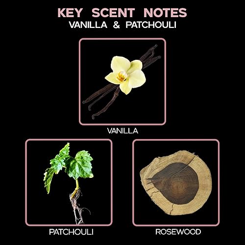 Miniatura 77 de LOVSPA Aceite Difusor Ocean Driftwood - Aceites Esenciales de Lujo para Recarga de Difusor y Ambientador en Aerosol para Habitaciones - Fragancia