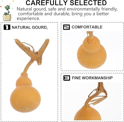 Miniatura 3 de 10 piezas de calabaza natural mini calabaza calabaza secas calabazas artesanías adornos de calabaza Hu Lu decoración de escritorio original calabaza