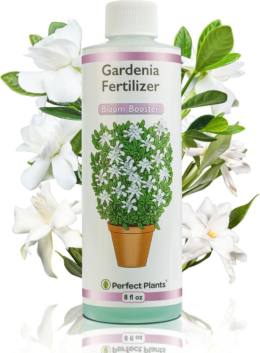 Gardenia Liquid Fertilizer, 8 oz, Bloom Boost Plant Food | Concentrated for deeper green leaves and more consistent flowers, safe indoors or out, won't burn when used as directed