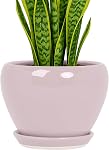 Deep Dream 6 Pots de plantes de pouce- Pot de planter en céramique avec trou de drainage et de sauce, Pot de fleurs ronde pour l'intérieur en plein air suculent, Plantes de serpent et Cactus, Bleu