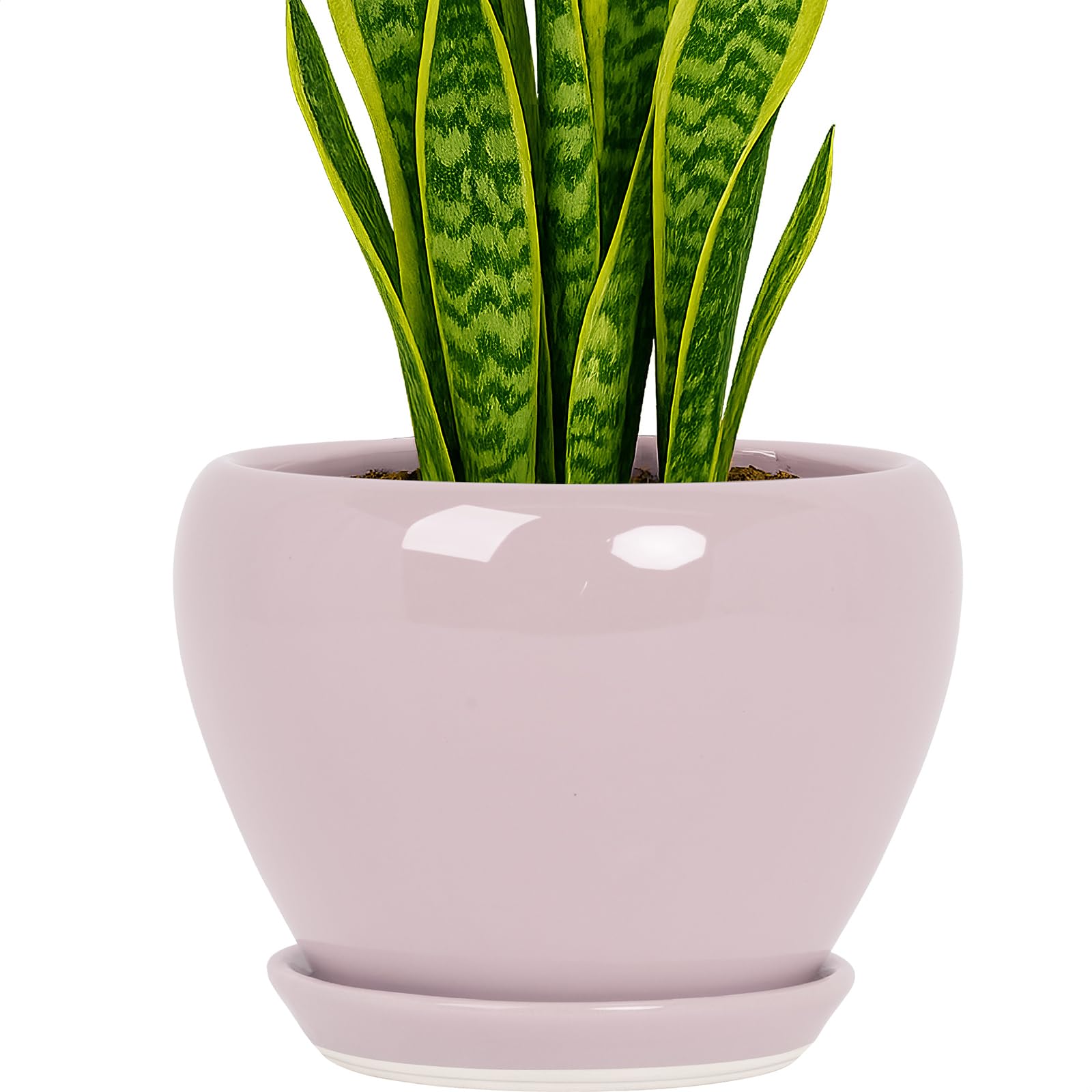 Deep Dream 8 Inch Ceramic Plant Pot