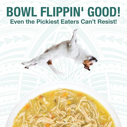 Miniatura 4 de KOHA Pet Food Pure Shreds - Paquete variado de alimentos húmedos para perros con alto contenido de proteínas, 5 sabores, carne de res, pato, pollo y