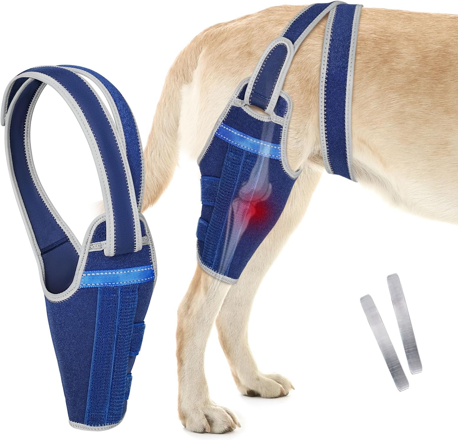 Dog Knee Brace for Torn ACL Hind Leg–Adjustable Support Dog Leg Brace for Back Leg for Luxating Patella, Ligament Injuries, CCL, Reduces Pain for Small Medium Large Dogs (Blue, Left Leg, 2XL)