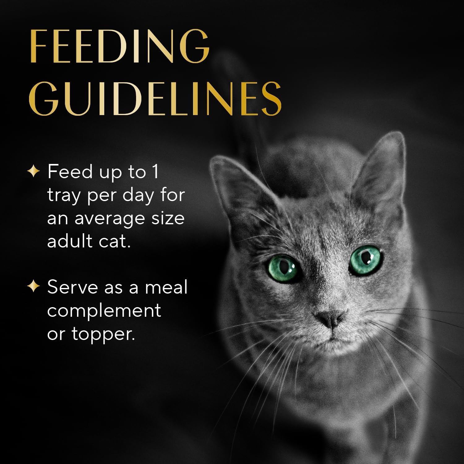 Sheba Selections Filets in Broth, Adult Cat Food Wet Recipe, Meal Complement, Wet Cat Food Variety Pack, Chicken Recipe and Chicken & Tuna Recipe, 1.3 oz. Cups, 8 Count (Pack of 2)