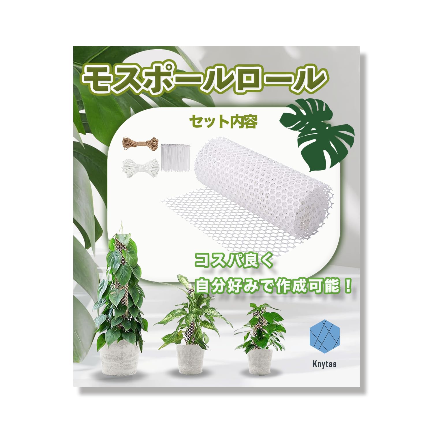 Amazon | Knytas (キニータス) モスポール モンステラ 支柱 観葉植物