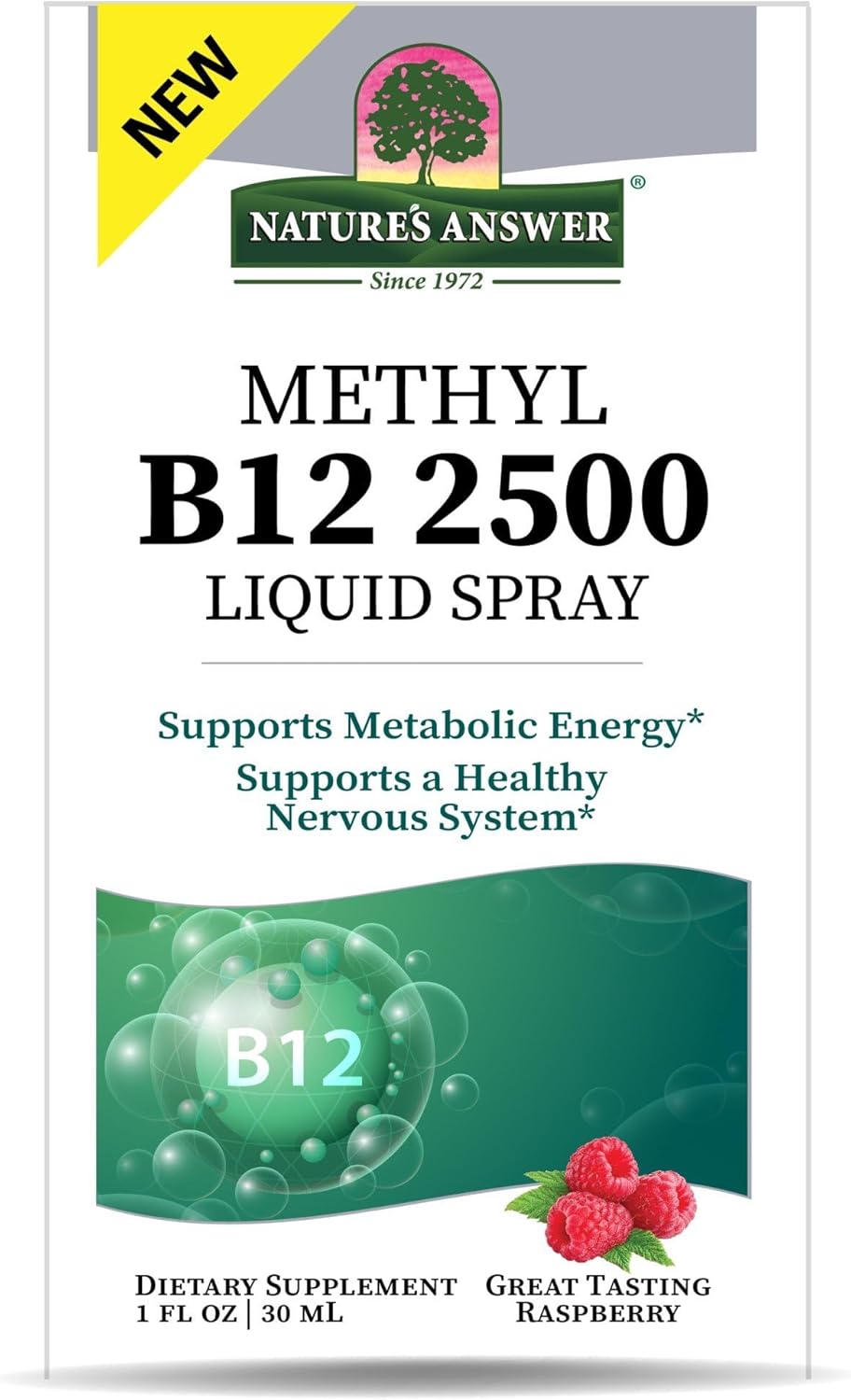 Nature's Answer B12 Methyl Liquid Spray 1 fl oz Liquid