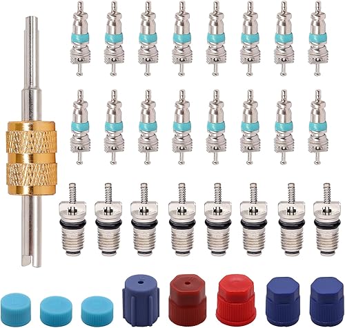 TWTADE Kit de núcleo de válvula de aire acondicionado para automóvil, A/C R12 R134a, núcleos de vástago de válvula Schrader de refrigeración con