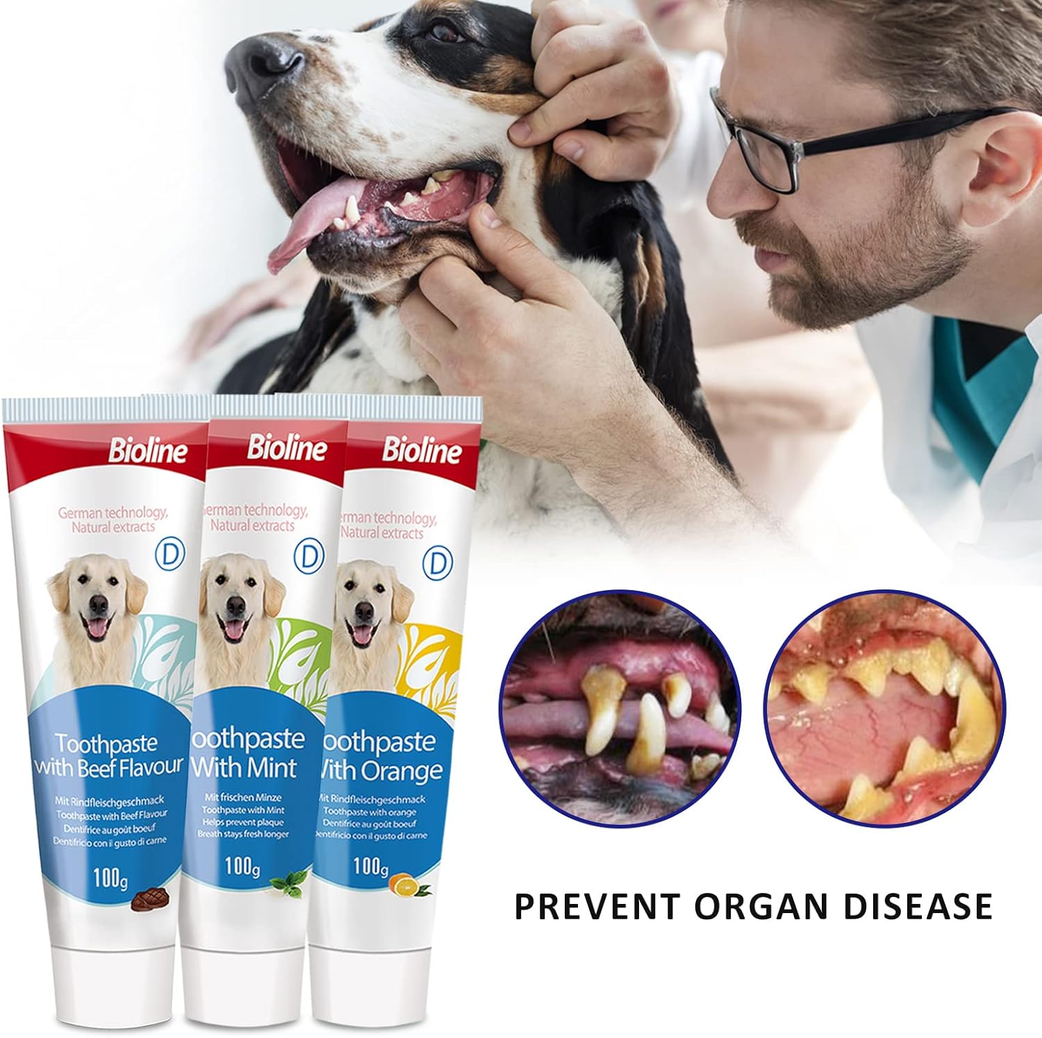 Bioline Dog Toothpaste Teeth Cleaning Plaque and Tartar Control Toothpaste for Dogs Eliminates Bad Breath Beef Flavor : Pet Supplies