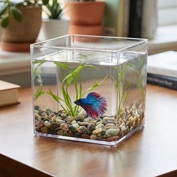 Premium Kristal Küp Nano Akvaryum & Beta Fanusu 20X20X20 cm 7 Litre - Karides ve Balık Akvaryumu