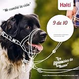 Ver la foto 6