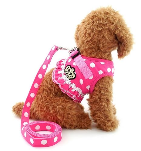 Arnés para cachorras y gatas pequeñas, diseño con lunares y correa de malla acolchada Selmai