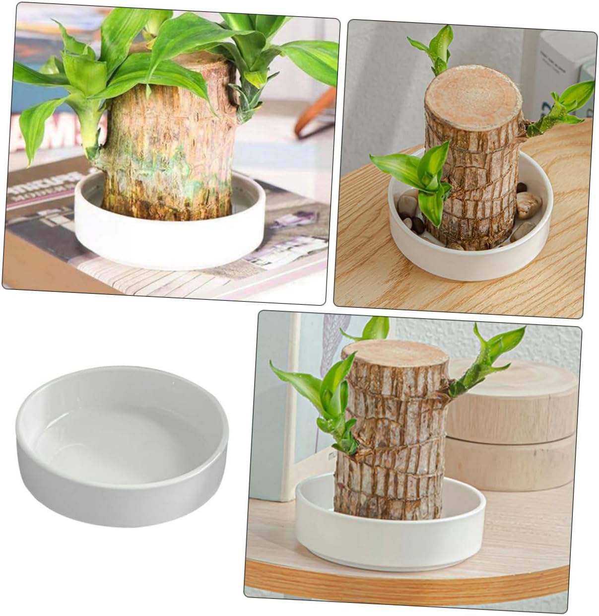 6pcs Ceramic Plant Saucer Tray Round Flowerpot Base Planter Saucers for Use for Preventing Water Leakage and Protecting