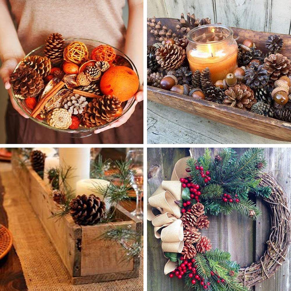 Supla Lot de 30 à Suspendre véritable Préservé Pommes de pin avec Cordes 5,1 - 7,6 cm Hauteur pour décoration de Noël Hiver Noël