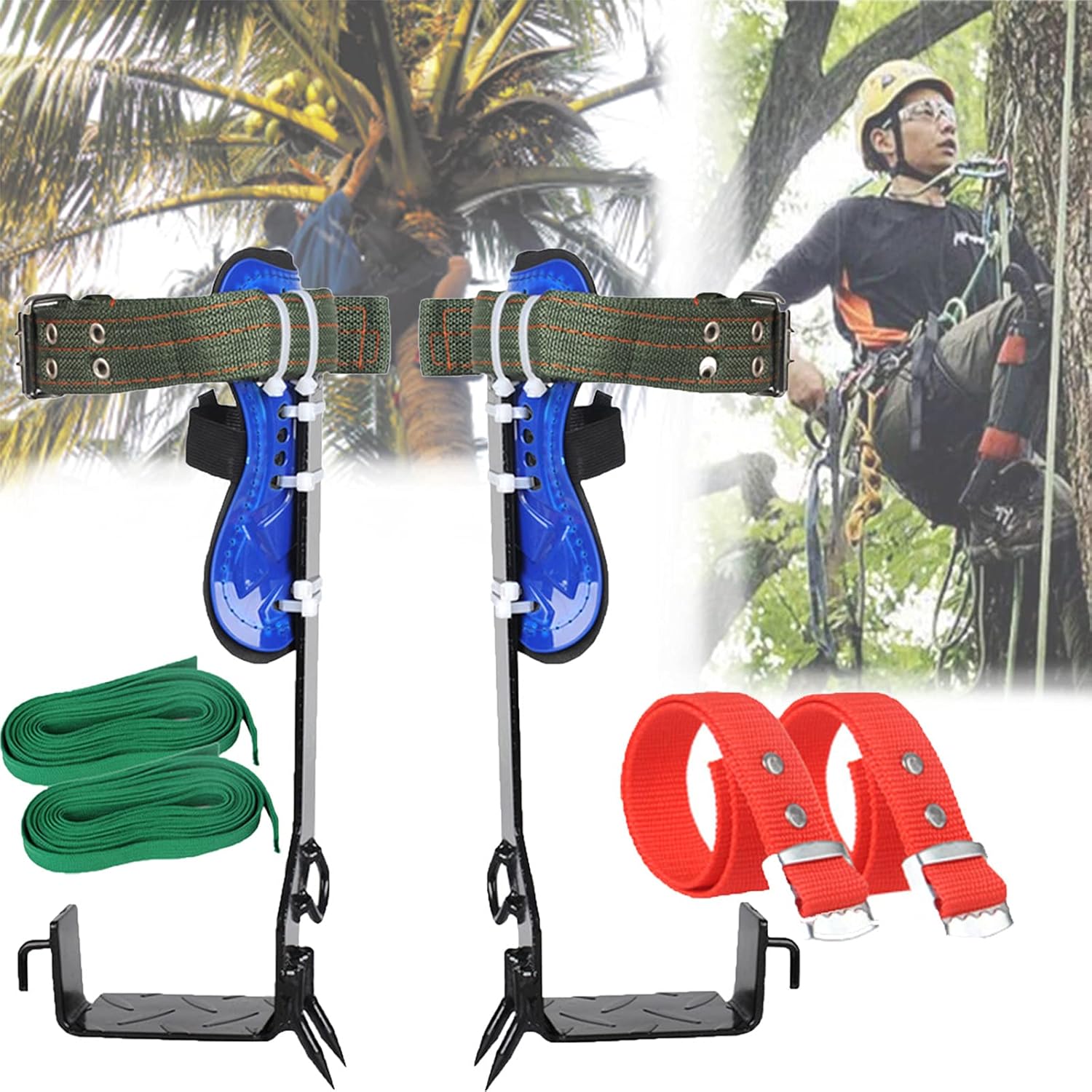Palm Tree Climbing Gear ubicaciondepersonas.cdmx.gob.mx