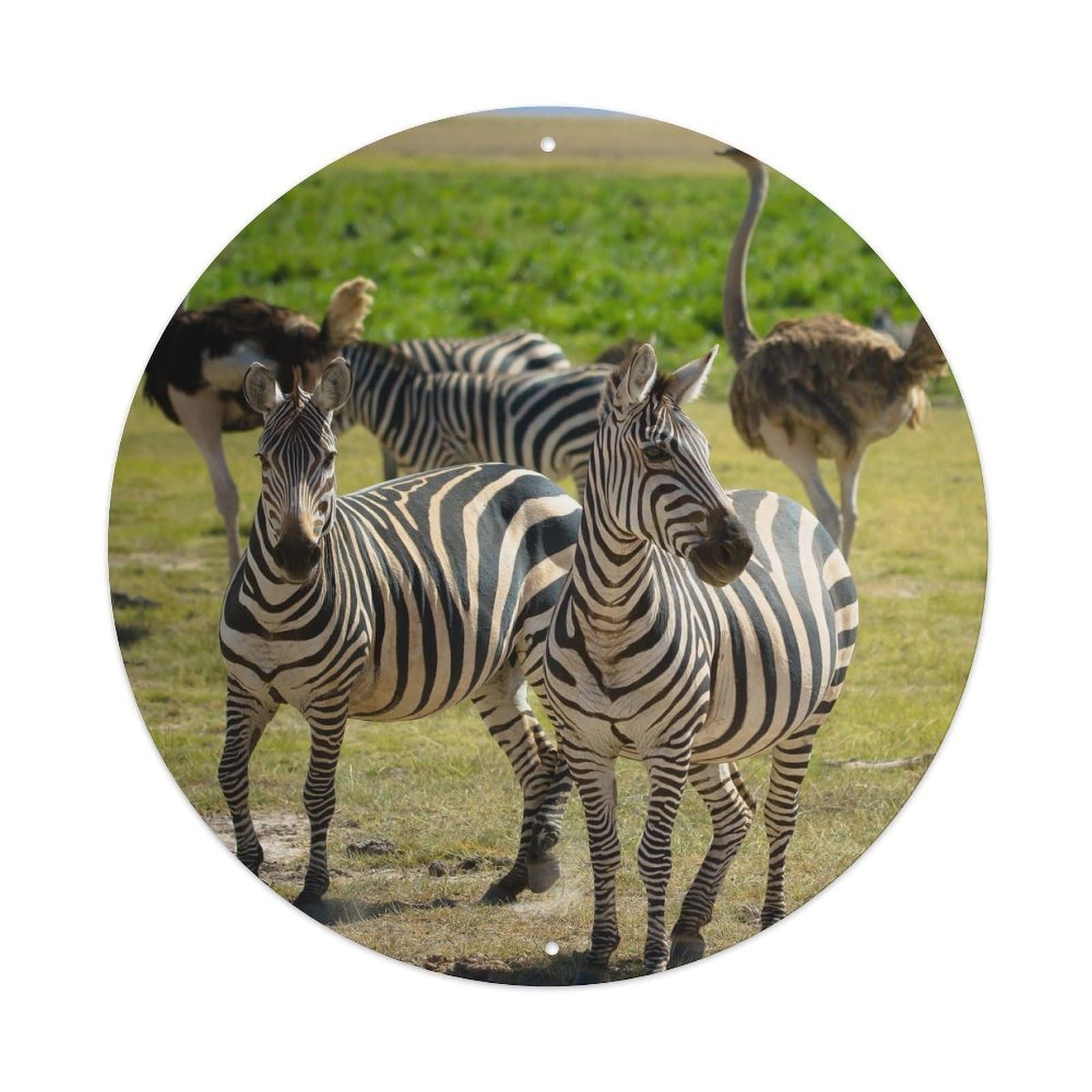 Wildlife Zebra And Ostrich Vintage Metal Tin Sign Plaque Wall Decor for Cafe, Club, Garden Round Metal Poster 8x8Inch