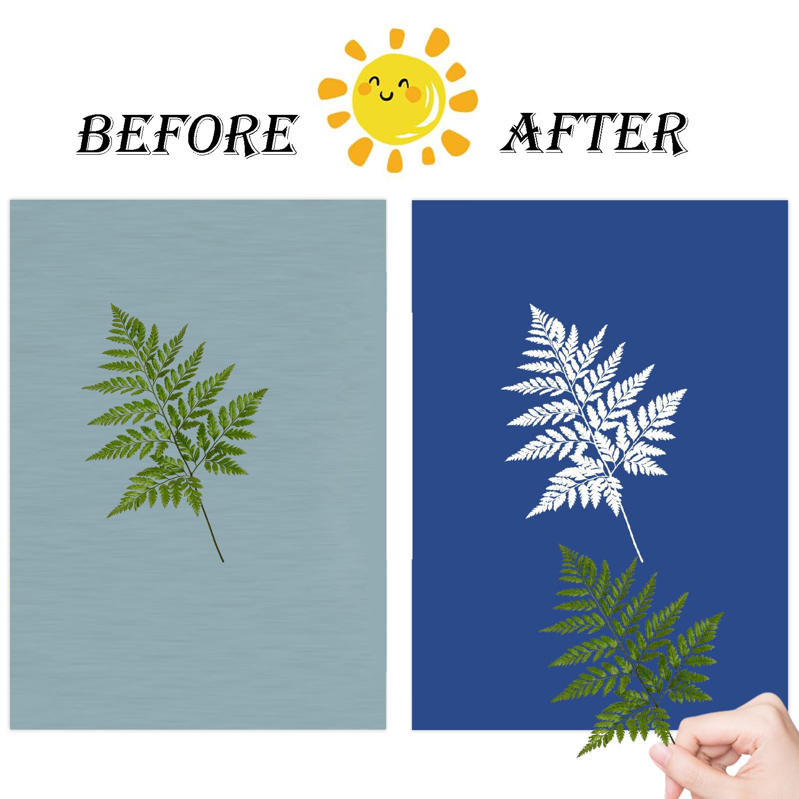 Cyanotypie Zonneprintpapier – 36 Vellen A5 + Acrylplaat, Lichtgevoelig Voor Zonnekunst Met Kinderen Of Volwassenen