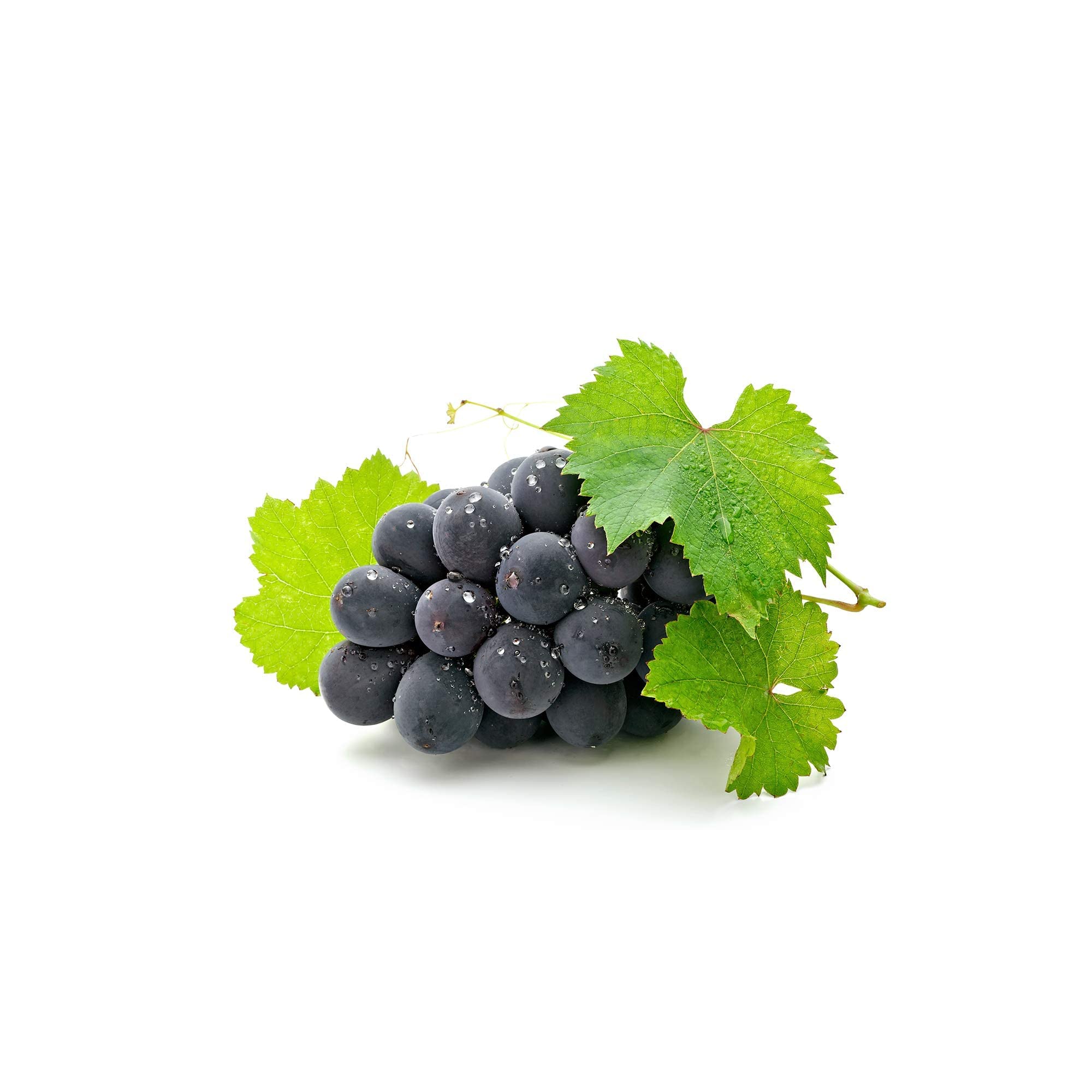RESVÉRATROL & OPC DE RAISIN * 60 mg / 60 gélules * Titré à 95% en proanthocyanidines et à 50% en resvératrol * Antioxydants, Cardiovasculaire, Prostate