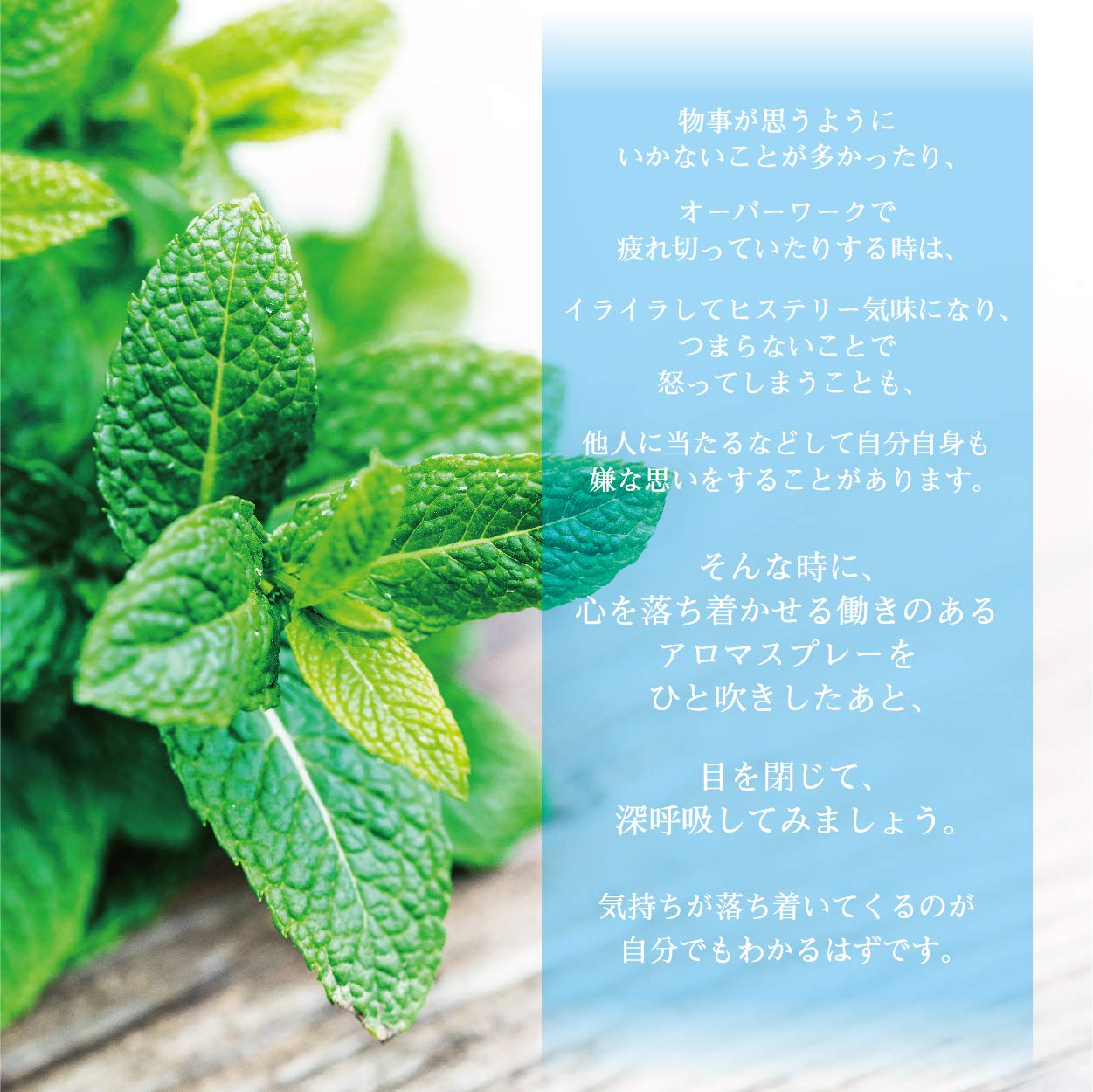 Amazon | Botanical lab アロマエアーフレッシュナー 緊張・不安解消