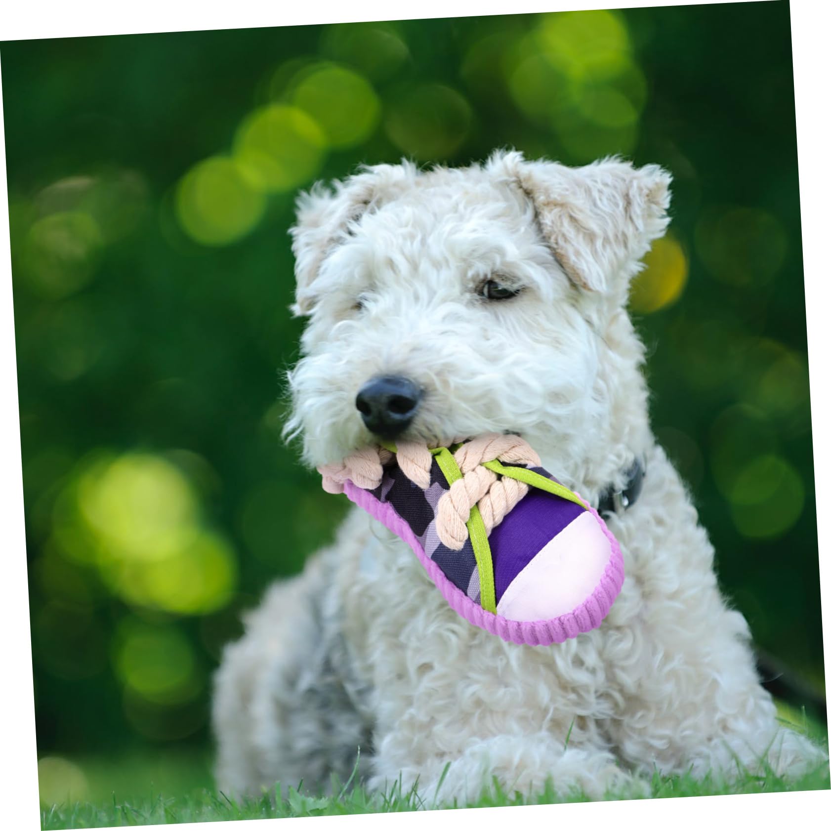 Giocattolo per Cani a Forma di Scarpa Suono, in Tela e Corda di Cotone, Interattivo e Resistente ai Morsi, per Cuccioli e Cani