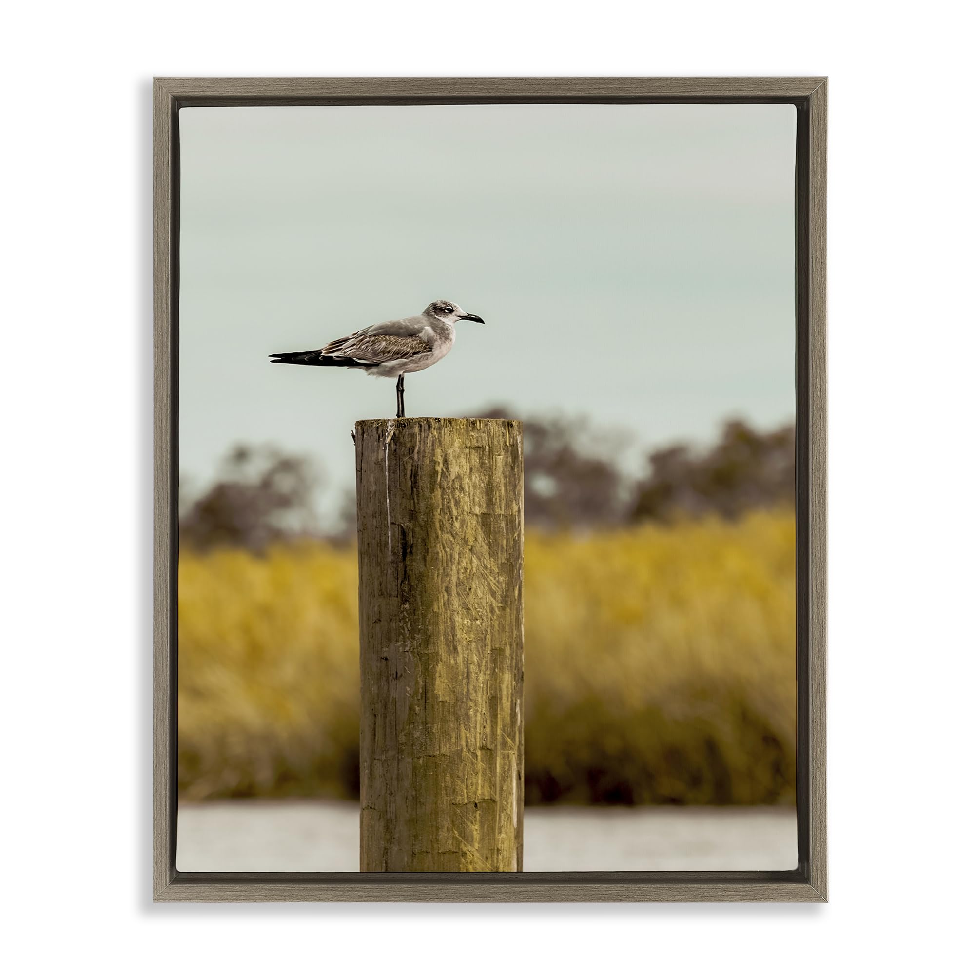 Stupell Industries 'Gull On Piling', Floating Frame Canvas Art, Brown, 25 x 31 Inches, Easy to Hang and Sturdy, Made in USA, by Christy Berry
