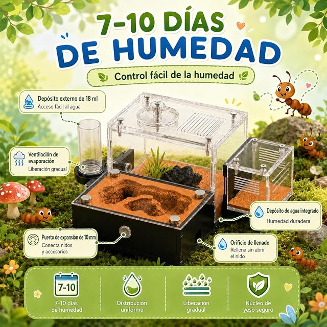 Foto 2 de 8 de Rimsunta Formicarium - Hábitat de granja de hormigas para hormigas vivas y reinas, kit educativo para adultos…