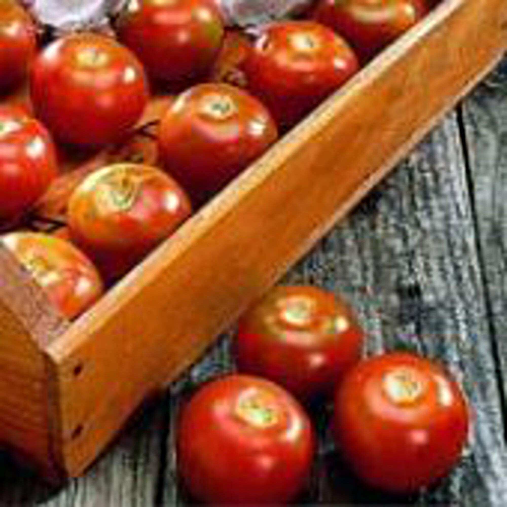 Amazon.com : Long Keeper Tomato Seeds (20+ Seeds) | Non GMO