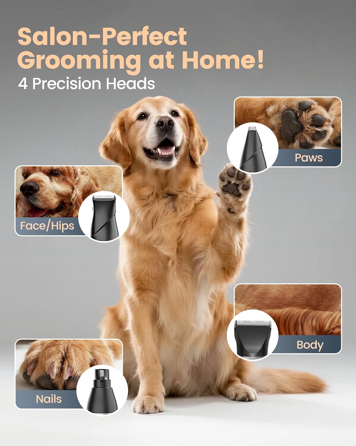 PAPMINI 4 in 1 Dog Grooming Kit for Thick Hair, 2000mAh Heavy Duty Dog Clippers for Grooming, 2-Speed Low Noise Paw Trimmer with Nail Grinder for Body, Paws, Nail, Face, Ears, Legs